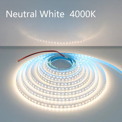 5M 600LEDs LED Strip 2835 DC12V 24V 120LEDs/m Home Lamp Strip Red Ice Blue Green Yellow Pink Flexible And Cuttable Soft Lamp Bar