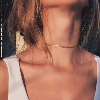 European And American Cross-Border Simple And Personalized Fashionable Flat Snake Bone Necklace Versatile Chavicle Chain