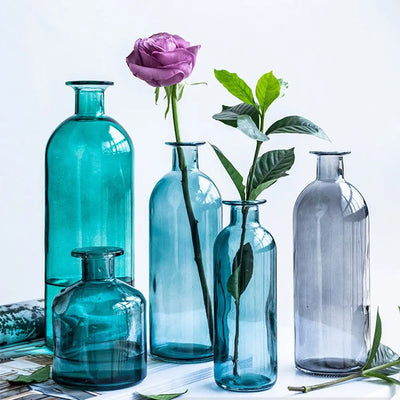 INS Dill Flower Decoration Living Room Flower Pot Glass Bottle Glass Vase Flower Vase Table Decor Home Decoration