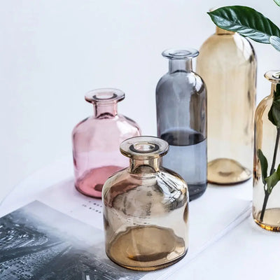 INS Dill Flower Decoration Living Room Flower Pot Glass Bottle Glass Vase Flower Vase Table Decor Home Decoration