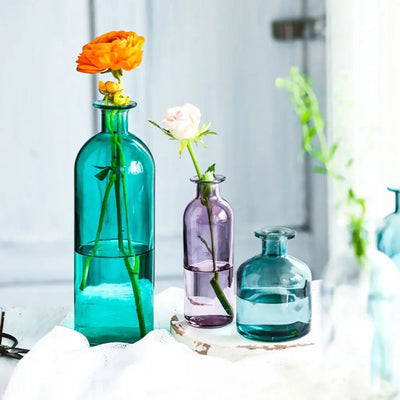 INS Dill Flower Decoration Living Room Flower Pot Glass Bottle Glass Vase Flower Vase Table Decor Home Decoration