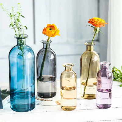 INS Dill Flower Decoration Living Room Flower Pot Glass Bottle Glass Vase Flower Vase Table Decor Home Decoration