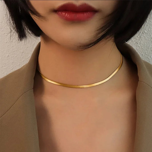 European And American Cross-Border Simple And Personalized Fashionable Flat Snake Bone Necklace Versatile Chavicle Chain