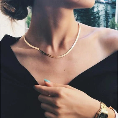 European And American Cross-Border Simple And Personalized Fashionable Flat Snake Bone Necklace Versatile Chavicle Chain