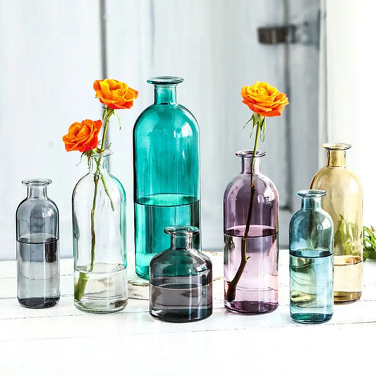 INS Dill Flower Decoration Living Room Flower Pot Glass Bottle Glass Vase Flower Vase Table Decor Home Decoration